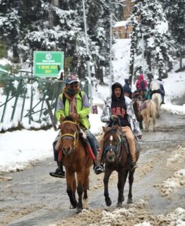 Horse Ridding